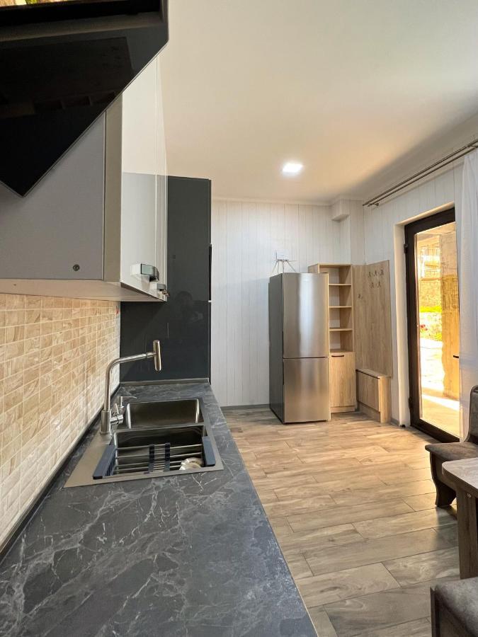 Royal Galaxy Apartment Kazbegi Ngoại thất bức ảnh